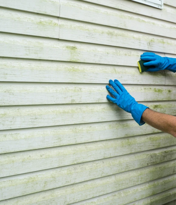 Siding Repair Services